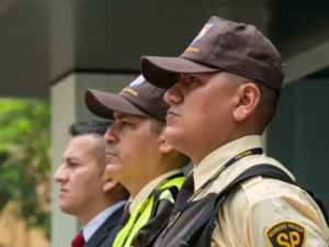 seguridad y vigilancia